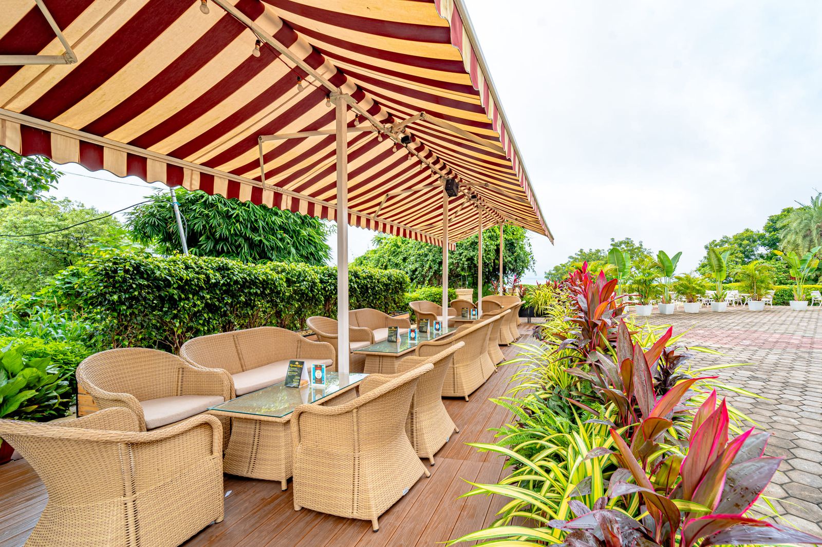 Cane armchairs on a teak deck under the crimson and cream striped awning, lined with tropical plants